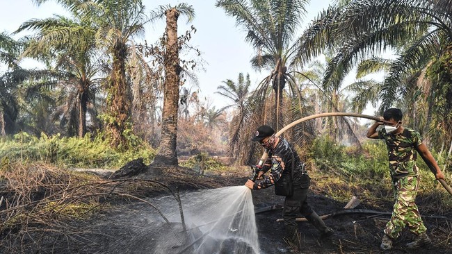 Karhutla di Lahan Gambut Muaro Jambi Meluas