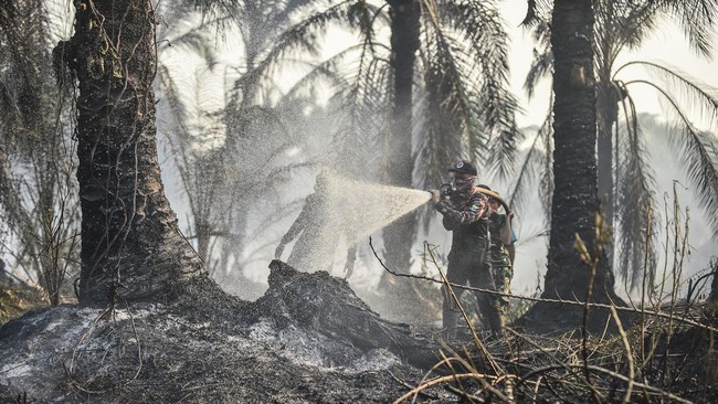 Karhutla di Lahan Gambut Muaro Jambi Meluas