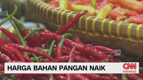 harga pangan naik, harga cabai rawit, cabai Rp80 ribu, harga ayam, harga beras, harga bahan pokok, pangan mahal, harga sembako, kenaikan harga pangan