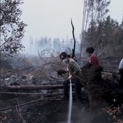 5 Figur Publik Bantu Penanganan Karhutla, Buka Donasi hingga Ikut Padamkan Titik Api
