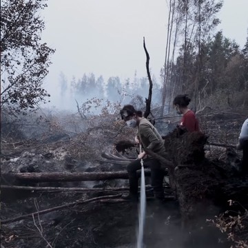 5 Figur Publik Bantu Penanganan Karhutla, Buka Donasi hingga Ikut Padamkan Titik Api