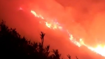 Penampakan Kebakaran di Gunung Ijen, Api Merambat ke Jalur Pendaki