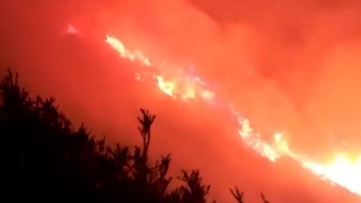 Penampakan Kebakaran di Gunung Ijen, Api Merambat ke Jalur Pendaki