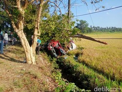 Kurang Konsentrasi, Truk Boks Terguling Masuk Got di Jalan Denpasar-Gilimanuk