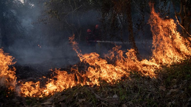 Kebakaran Lahan di Ogan Ilir