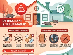 Infografis: Ini Tanda Rumah yang Sudah Jadi Markas Tikus