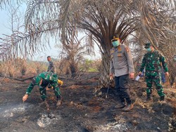 Kapolda dan Pangdam Cek Karhutla di Riau, Beri Atensi di 4 Wilayah Ini
