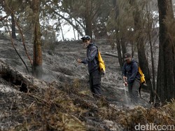 Sederet Kendala Padamkan Karhutla Gunung Ijen