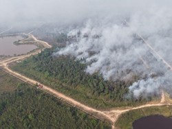 Tim Optimalkan Pemadaman Karhutla di Kebun Raya Sriwijaya
