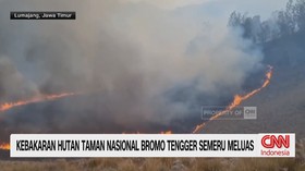 Kebakaran hutan