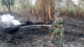 TNI kerahkan pasukan prajurit dan Helikopter H225M Caracal untuk penanganan kebakaran hutan di IKN.