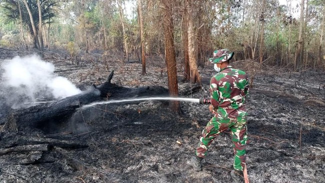 TNI kerahkan pasukan prajurit dan Helikopter H225M Caracal untuk penanganan kebakaran hutan di IKN.