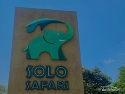 Liburan ke Solo Safari, Ini yang Perlu Diketahui Traveler