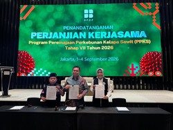 Bank Sumsel Babel Perkuat Pembiayaan Perrmajaan Sawit Rakyat
