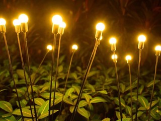 Nggak Mau Ribet Instalasi Kabel? Ini Lampu Taman Tenaga Surya yang Memudahkan