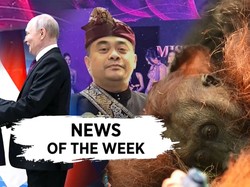 Video Terpopuler Sepekan: Orang Utan Mati gegara Karhutla-Prabowo ke Rusia