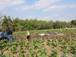 Kesaksian Warga Lihat Pesawat Capung Nyungsep-Terbakar di Blora