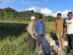 Sambut Musim Hujan, Pemulihan Sawah di Kota Subulussalam Dipercepat