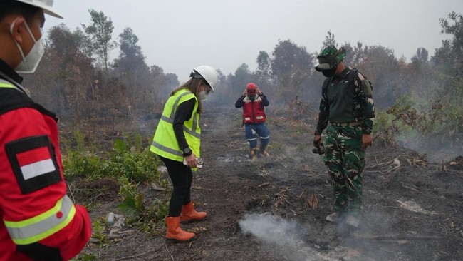 Holding Industri Pertambangan Indonesia, MIND ID, mengambil langkah cepat dan terkoordinasi dalam merespons risiko kebakaran hutan dan lahan (karhutla) yang melanda sejumlah titik di Indonesia.