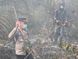 2 Hektare Lahan di Tungkal Jaya Muba Terbakar