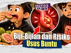 Mitos atau Fakta: Benarkah Biji-Bijian Bisa Sebabkan Usus Buntu?