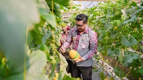 BNR PEMKAB KLATEN PCK.12327 (3/20) - SEPT 2026