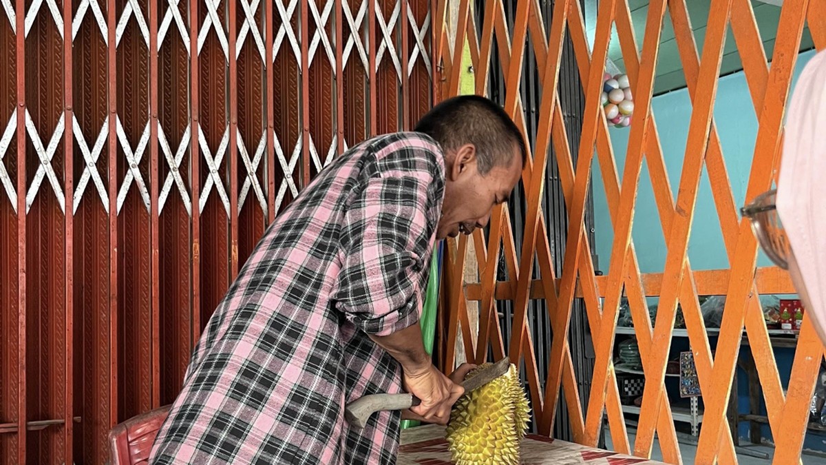 Durian Balai Karangan dan Sejuta Potensi di Sungai Sekayam