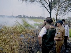 Walkot Palembang Pantau Posko Karhutla, Petugas Diminta Respons Cepat