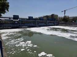 Ramai Sungai Surabaya Berbusa hingga Warga Berburu Ikan Mabuk