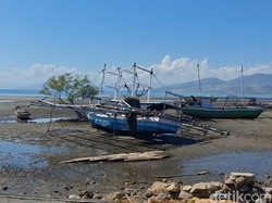 Gempa M 7,7 Rusak Perahu hingga Tambak Garam di Nagekeo NTT