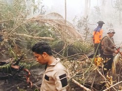Kebakaran Lahan di Lingga Meluas Jadi 32 Hektare, Api Masuk Kebun Sagu