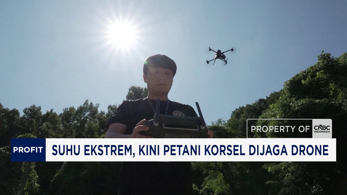 Video: Suhu Ekstrem, Kini Petani Korsel Dijaga Drone