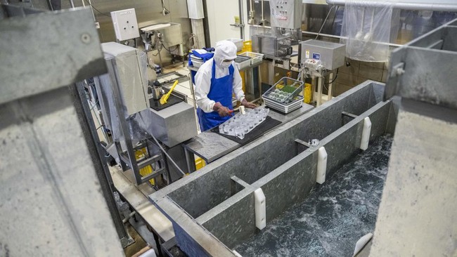 A worker using a mallet to remove ice spheres from block at the Kuramoto Ice factory in Kanazawa, Ishikawa prefecture.