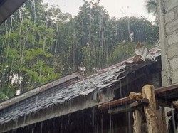 Hujan Guyur Sejumlah Daerah di Kalsel, Warga Bersukacita