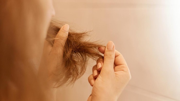 6 Kebiasaan yang Bisa Memicu Rambut Bercabang dan Mudah Patah