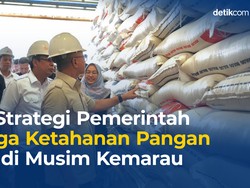 Strategi Pemerintah Jaga Ketahanan Pangan di Musim Kemarau