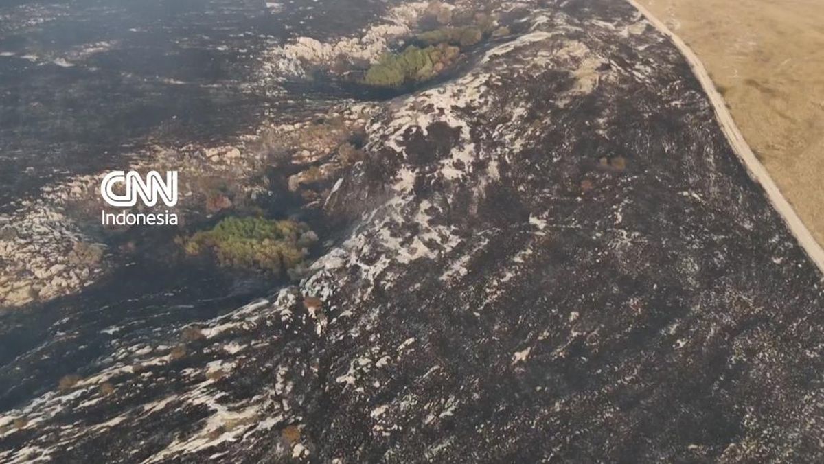 Kebakaran Hutan Bosnia Meluas, Asap Capai hingga Kroasia