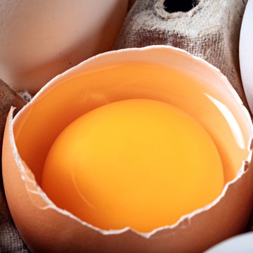 5 Mitos tentang Telur yang Masih Banyak Dipercaya