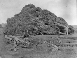 Letusan Krakatau 1883 Langsung Viral di Dunia, Kok Bisa?