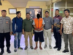 Pelaku Pembakaran Hutan di TN Baluran Situbondo Ditangkap