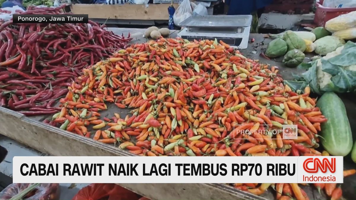 VIDEO: Harga Pangan Naik Lagi, Cabai Rawit Tembus Rp70 Ribu