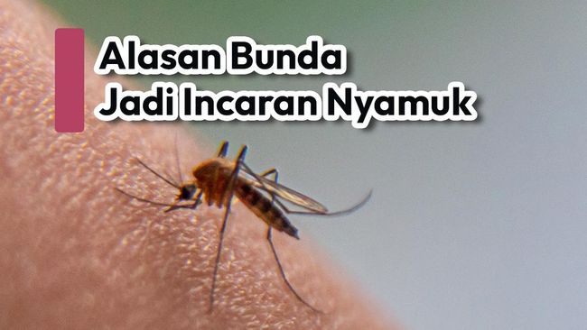 Alasan Bunda Jadi Incaran Nyamuk
