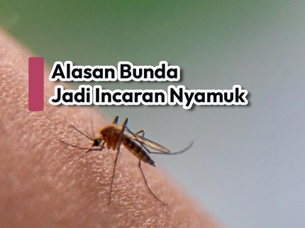 Alasan Bunda Jadi Incaran Nyamuk