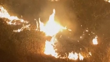 Hutan Antalya Terbakar, Petugas Pemadam Berjibaku Semalaman
