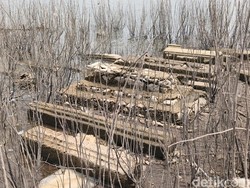 Penampakan Makam Kuno yang Muncul Saat Waduk Gajah Mungkur Surut