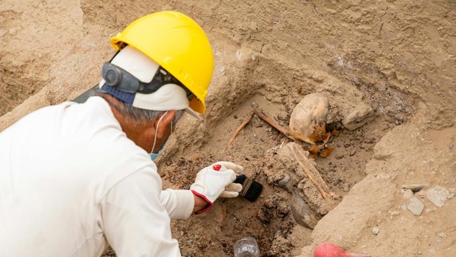 A Peruvian archaeologist cleans remains at an almost intact pre-Incan funerary platform containing remains of 38 individuals, including an elite member of the Chimu civilization that flourished on Peru's northern coast between 900 and 1470 AD, in Tru