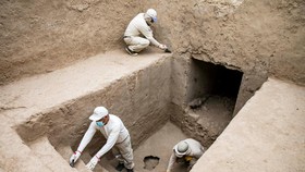 Peruvian archaeologists work at an almost intact pre-Incan funerary platform containing remains of 38 individuals, including an elite member of the Chimu civilization that flourished on Peru's northern coast between 900 and 1470 AD, in Trujillo, Peru
