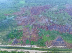 Titik Karhutla Terdekat 30 Km, Otorita IKN Perkuat Pemadaman Via Darat-Udara