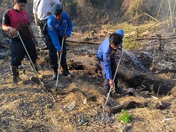 Ular Piton 4 Meter Ditemukan Terbakar di Parepare Saat Warga Bersihkan Lahan