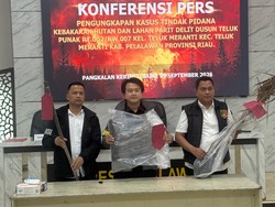 Buka Lahan Bikin Suaka Margasatwa di Riau Terbakar, 3 Orang Jadi Tersangka